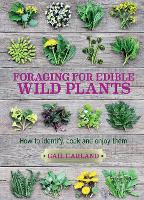 Foraging for Edible Wild Plants
