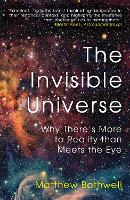 The Invisible Universe