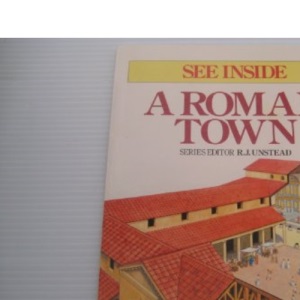 See Inside a Roman Town