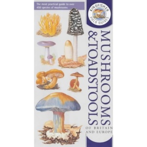 Kingfisher Field Guide to the Mushrooms and Toadstools of Britain and Europe (Kingfisher field guides)