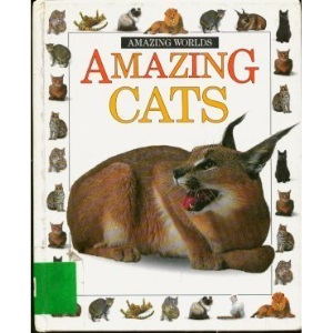 Amazing Cats