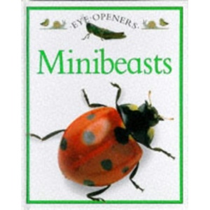 Minibeasts.Eye Openers