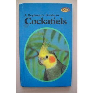 A Beginner's Guide to Cockatiels