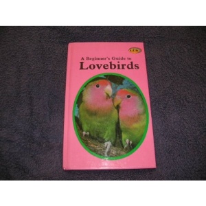A Beginner's Guide to Lovebirds