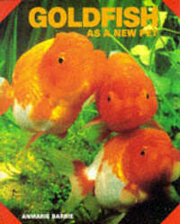 Goldfish as a New Pet