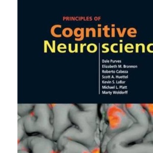 Principles of Cognitive Neuroscience