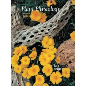 Plant Physiology