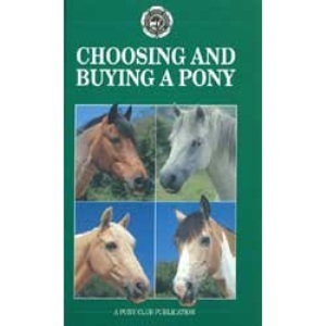 Choosing and Buying a Pony