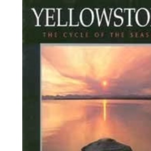 Yellowstone
