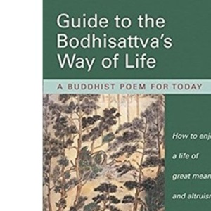 Guide to the Bodhisattva's Way of Life: A Buddhist Poem for Today