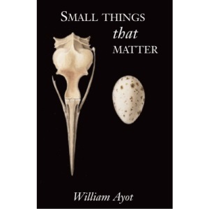 Small Things That Matter