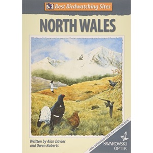 Best Birdwatching Sites in North Wales