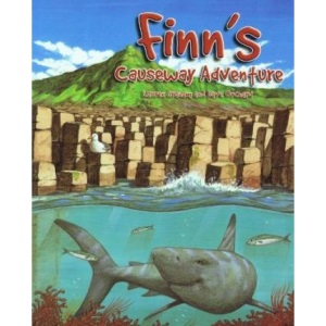 Finn's Causeway Adventure