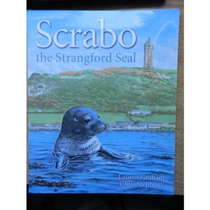 Scrabo the Strangford Seal