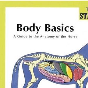 Body Basics - a Guide to the Anatomy of the Horse (Pony Club Stablemates): 2