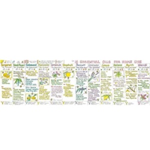 Essential Oils for Home Use