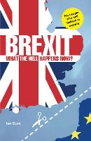 Brexit: What the Hell Happens Now?