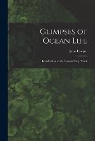 Glimpses of Ocean Life