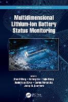 Multidimensional Lithium-Ion Battery Status Monitoring