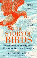 The Story of Birds