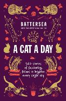 Battersea Dogs and Cats Home - A Cat a Day