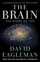 The Brain