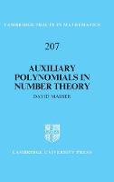 Auxiliary Polynomials in Number Theory