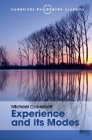 Experience and its Modes