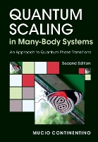 Quantum Scaling in Many-Body Systems