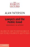 Lawyers and the Public Good