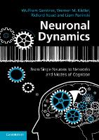 Neuronal Dynamics