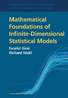 Mathematical Foundations of Infinite-Dimensional Statistical Models