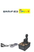 Gamified Spirit