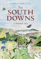 The South Downs
