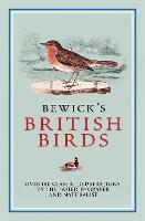 Bewick's British Birds