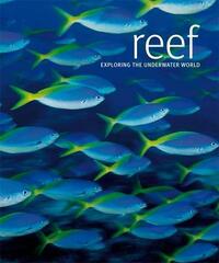 Reef: Exploring the Underwater World