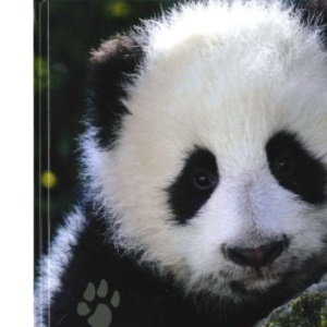 Baby Animals: An Irresistible Collection of Nature's Young