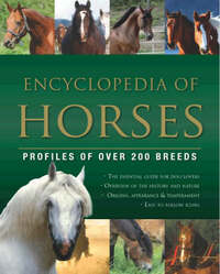 Encyclopedia of Horses