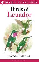 Field Guide to the Birds of Ecuador