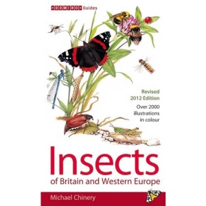 Insects of Britain and Western Europe (Field Guide)
