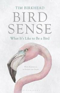 Bird Sense: What it's Like to be a Bird