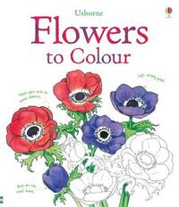 Flowers Colouring Book (Usborne Colouring Books)