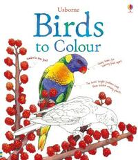 Birds to Colour (Nature Colouring Books)