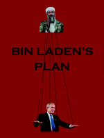 Bin Laden's Plan