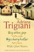 The Big Stone Gap Trilogy