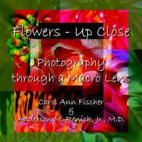 Flowers - Up Close