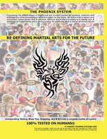 Re-defining Martial Arts for the Future