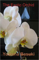 The Exotic Orchid