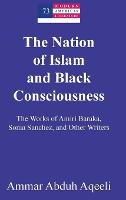 The Nation of Islam and Black Consciousness