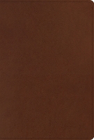 ESV Men's Study Bible